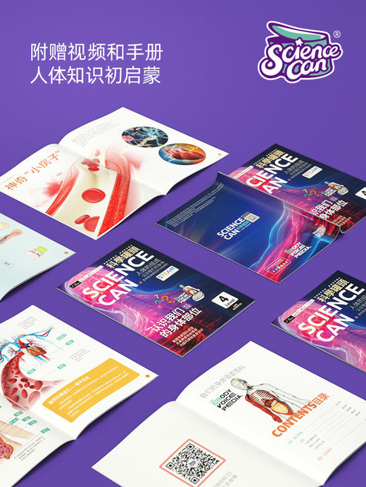 【科学罐头Steam】人体解剖模型器官我们的身体语音百科 商品图4