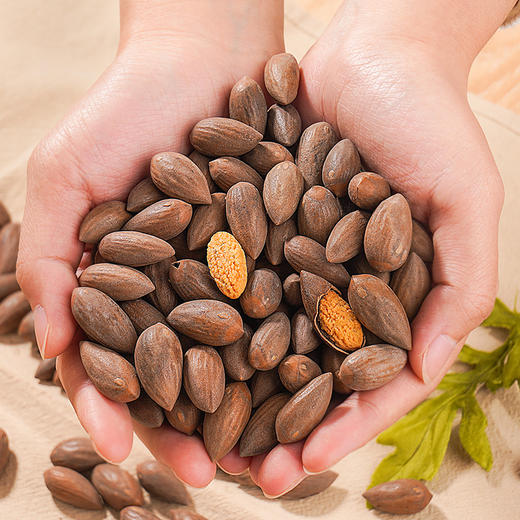 【香榧】诸暨特产 老树香榧 精选饱满果   0添加  优质坚果零食 有股清新奶香 越吃越香150克/罐 商品图4