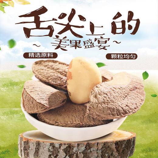 新货大果500g鲍鱼果新疆坚果盐焗原味沙漠果休闲零食干果205g 商品图1