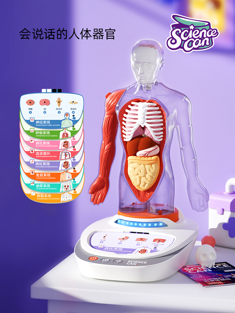 【科学罐头Steam】人体解剖模型器官我们的身体语音百科