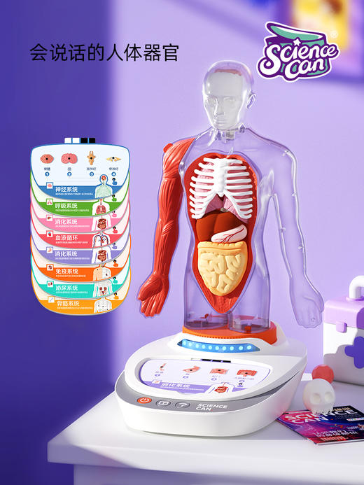 【科学罐头Steam】人体解剖模型器官我们的身体语音百科 商品图0