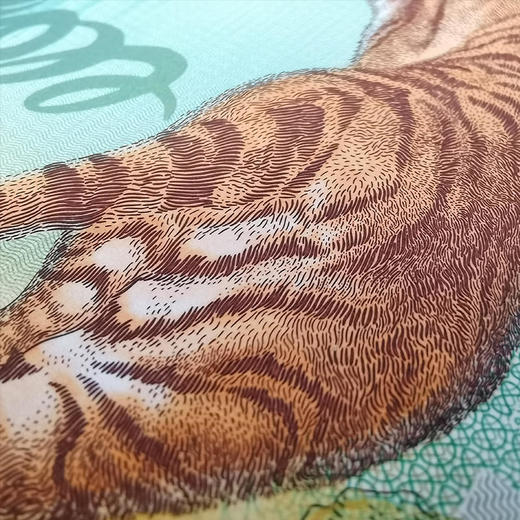 【西安印钞】2022虎年生肖纪念单券 商品图6