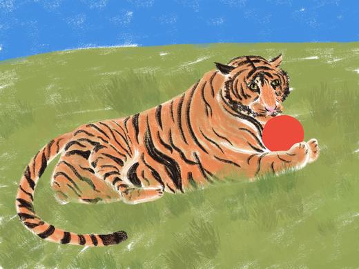 light on『玩球球』｜A4插画 商品图1