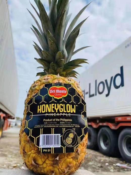 德尔蒙菲律宾蜂蜜凤梨 商品图0