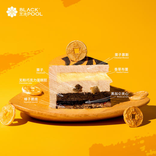 （预约验券专用）栗子黑加仑慕斯 验券不成功不发货，选择款式，备注平台+券码，下单支付0.01元即可 商品图1