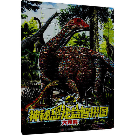 神秘恐龙益智拼图 大搜索 商品图0