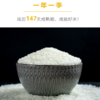 五常大米 | 五常稻花香米 真空包装 方便储存屯粮 饭粒油亮软糯 饭香浓郁易吸收 山泉水灌溉 颗粒饱满 清白透亮 商品缩略图1