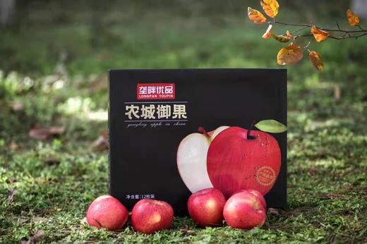 农城御果-苹果 商品图1