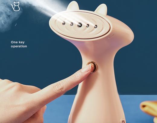 【积分专享】华光手持式挂烫机 商品图0