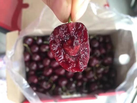 智利kordia双j红车厘子科迪亚车厘子中的劳斯莱斯5斤礼盒装脆甜可口