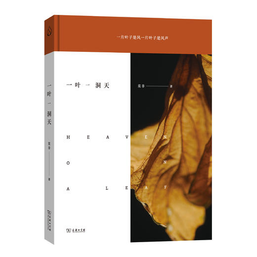 一叶一洞天(万物有生有命) 商品图0
