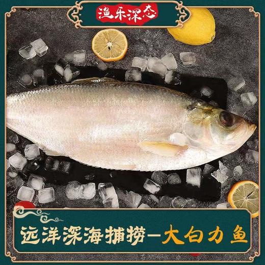 海鲜礼盒系列-198元轻享组合A2款【GA】 商品图2