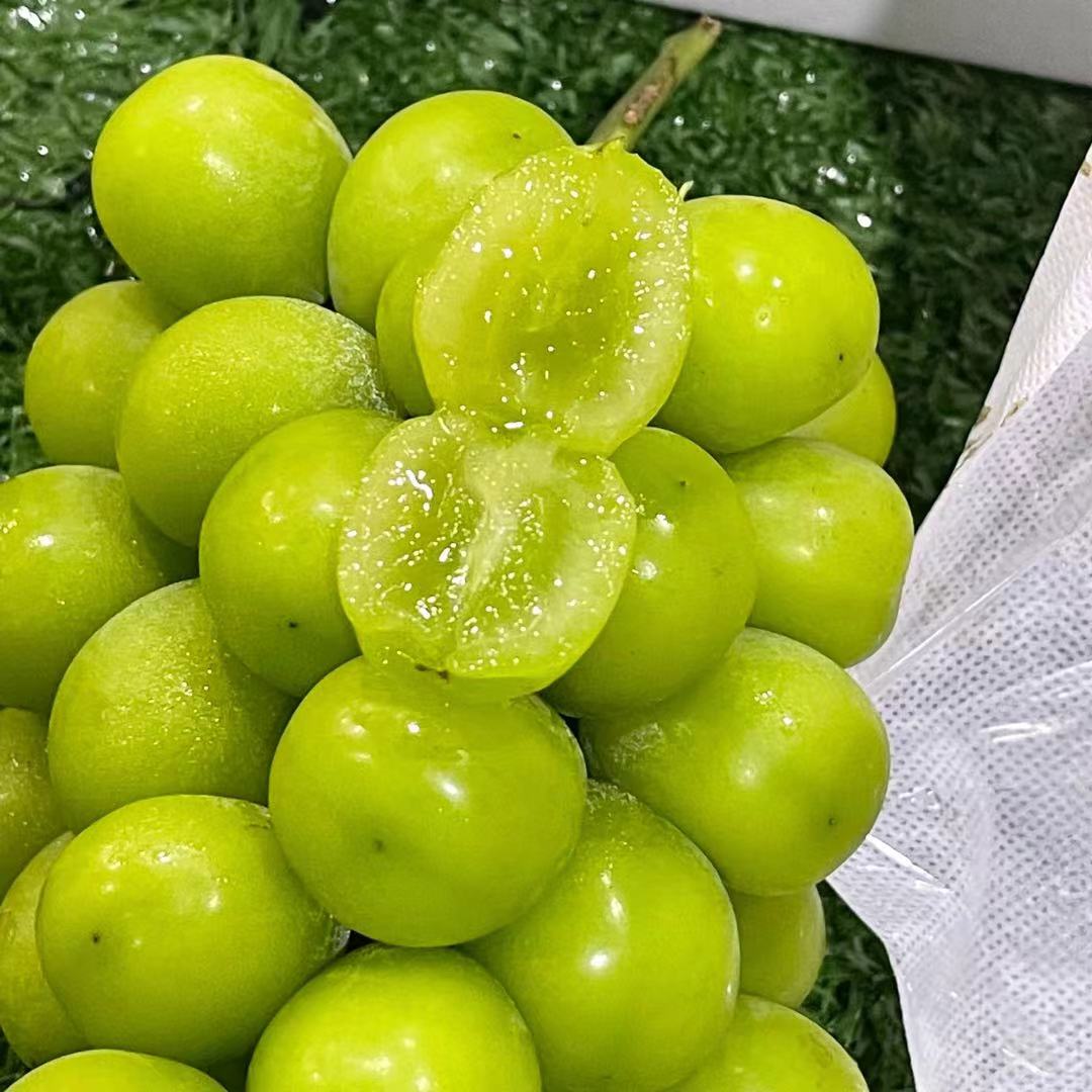 云南匠心极晴王葡萄 一箱5斤 一级果香印阳光脆甜葡萄水果