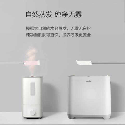 科西keheal无雾加湿器W2 家用大雾量静音冷蒸发除菌净化[福利品] 商品图4