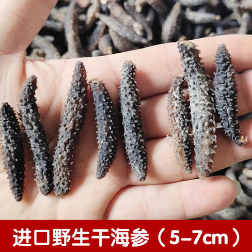 进口野生干海参（8支装/5-7cm） 商品图0
