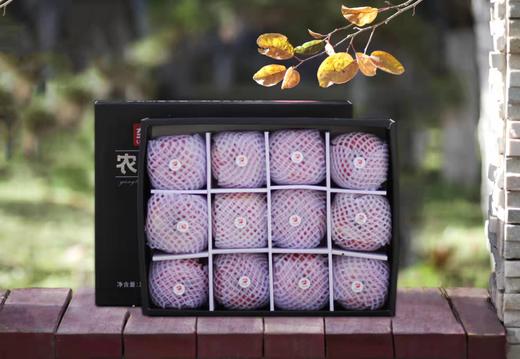 农城御果-苹果 商品图6