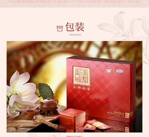 中茶红韵海堤小种红茶240克 商品图6