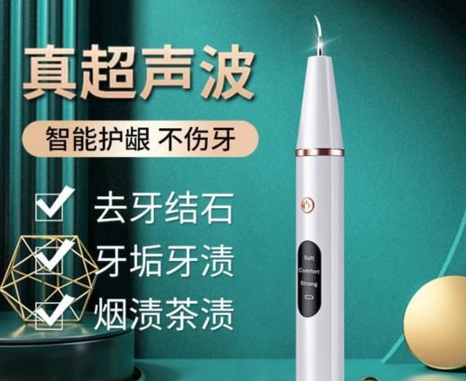 洗牙器家用清理器冲牙（ryp30） 商品图0