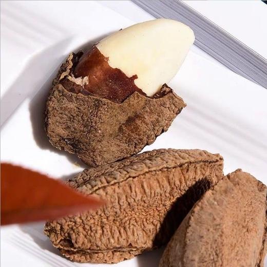 新货大果500g鲍鱼果新疆坚果盐焗原味沙漠果休闲零食干果205g 商品图6