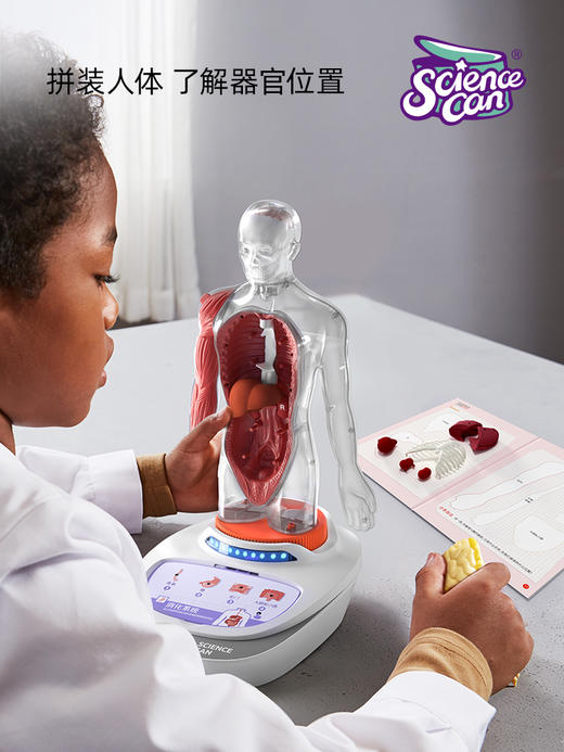 【科学罐头Steam】人体解剖模型器官我们的身体语音百科 商品图1