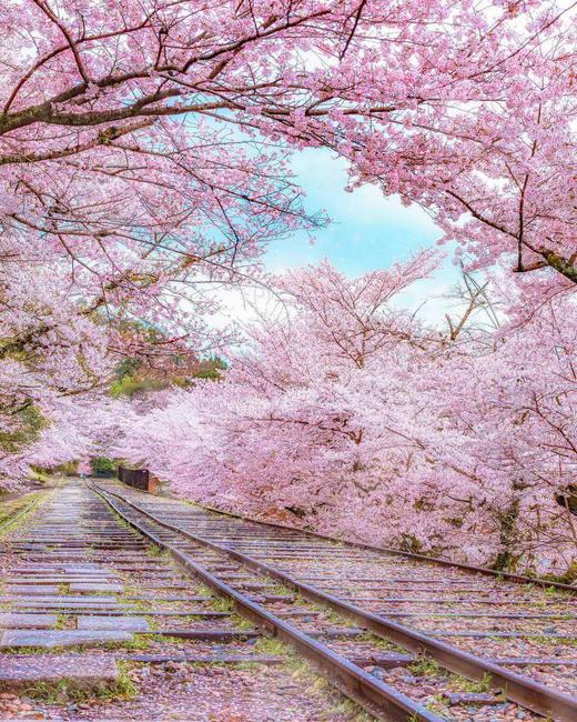 1221新测统计直播间 商品图0