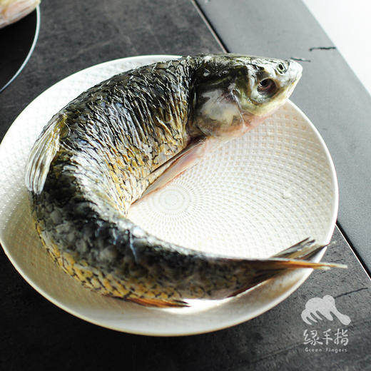 有机草鱼（临期） | 合作生产 * Organic-grass carp fish| Coproduction 商品图4