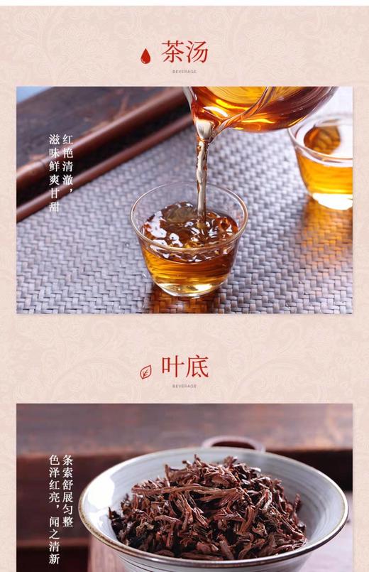 中茶红韵海堤小种红茶240克 商品图5