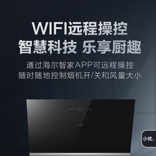 海尔（Haier）烟机CXW-219-EC906U1 商品图8