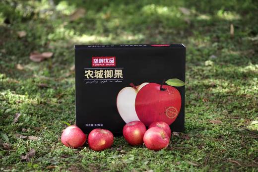 农城御果-苹果 商品图3
