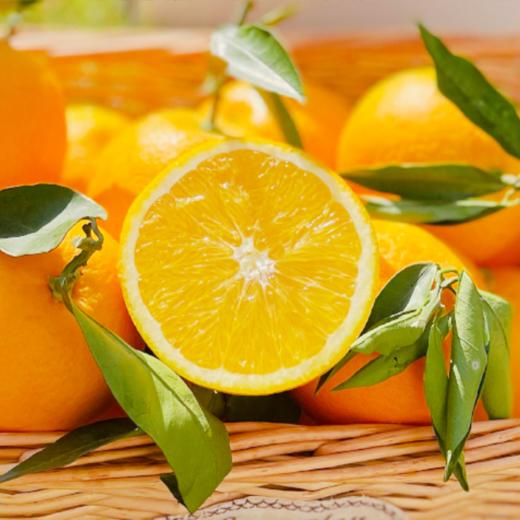 奉节脐橙 商品图4