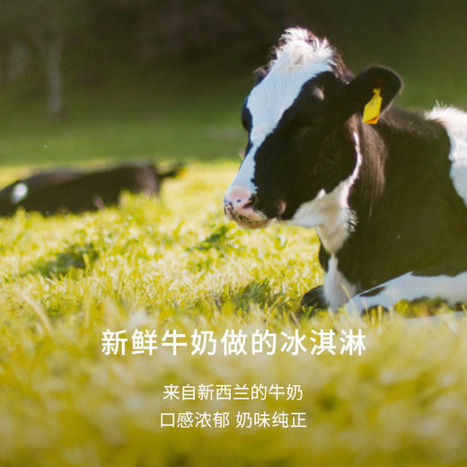兰维乐新西兰原装进口冰淇淋5L/盒 商品图2