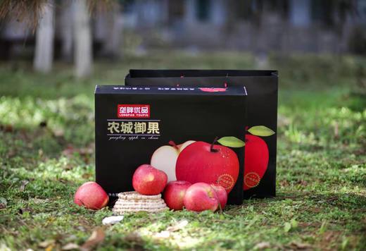 农城御果-苹果 商品图8