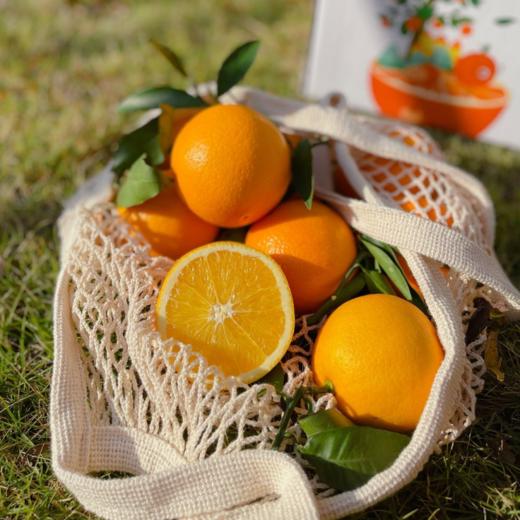 奉节脐橙 商品图3