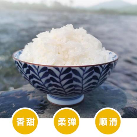 五常大米 | 五常稻花香米 真空包装 方便储存屯粮 饭粒油亮软糯 饭香浓郁易吸收 山泉水灌溉 颗粒饱满 清白透亮 商品图4