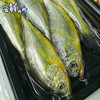 【野生】东海黄鱼子（大黄鱼幼子） 商品缩略图3