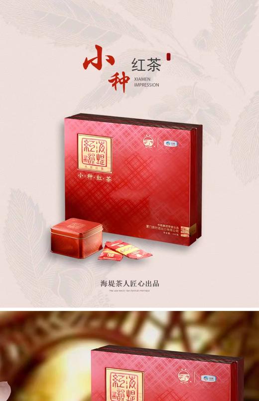 中茶红韵海堤小种红茶240克 商品图4