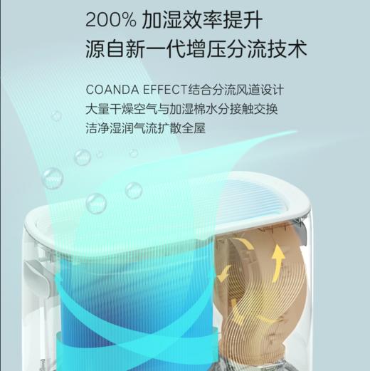 科西keheal无雾加湿器W2 家用大雾量静音冷蒸发除菌净化[福利品] 商品图3