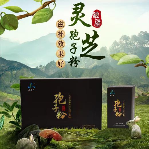 【积分专享2】灵芝孢子粉 商品图0