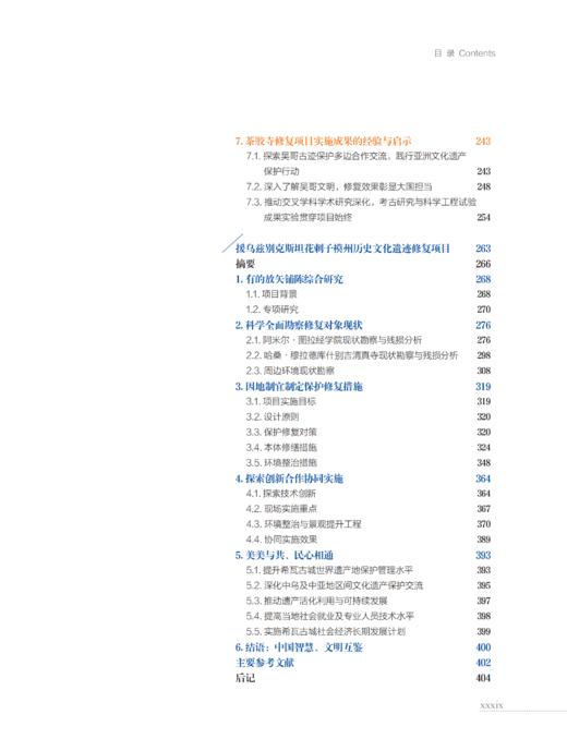 中国文化遗产研究院援外文物保护工程项目成果集：2017—2019 商品图3