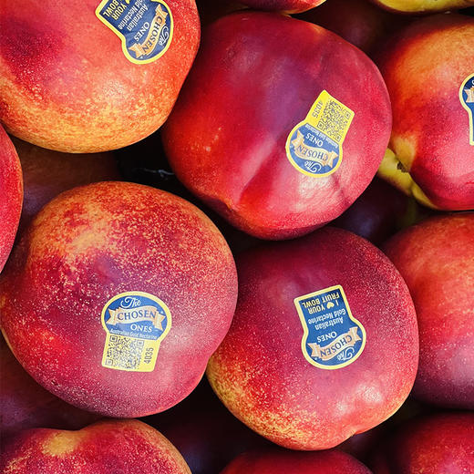 澳洲空运油桃  |  红里透黄，阳光下特别灿烂，果肉纯黄，靠近核一圈红，脆嫩有韧劲，现在有点硬很甜， 放软了之后，细致绵软水汪汪，又香又甜，甜蜜芬芳！ 商品图6