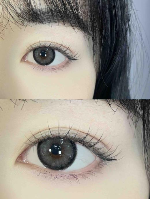 年抛 (原名DK)Deekay G329 14.5 着色 13.6 /8.7 商品图3