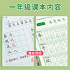 【抖音同款】1-3年级人教版语文同步正楷点阵描红练字帖 商品缩略图3