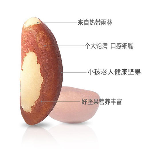 新货大果500g鲍鱼果新疆坚果盐焗原味沙漠果休闲零食干果205g 商品图4