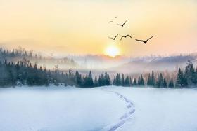 冬至大如年，在这个“积德”的节气，如何为身体“积累生机” 