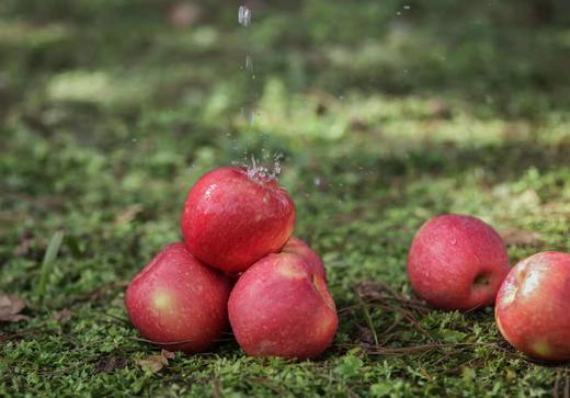 农城御果-苹果 商品图5