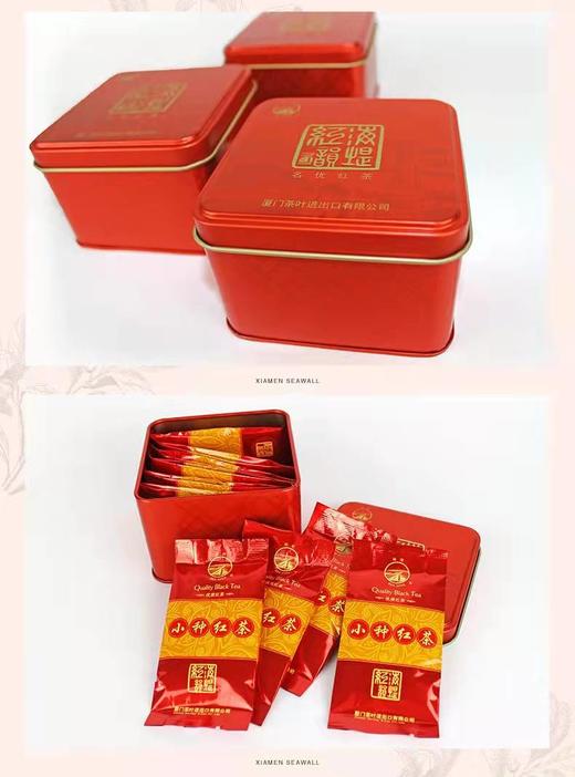 中茶红韵海堤小种红茶240克 商品图7