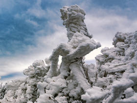 12.30出发【年终钜惠  独家线路】 皇后山茶庄园冰雪摄影+高山温泉2天