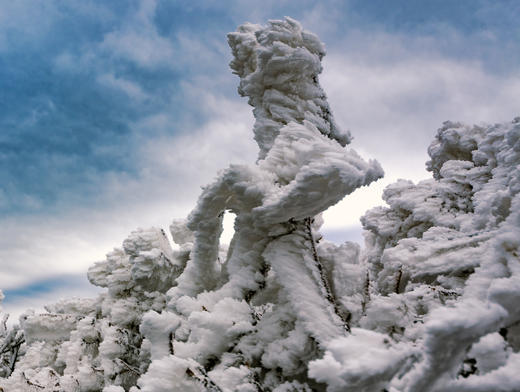 12.30出发【年终钜惠  独家线路】 皇后山茶庄园冰雪摄影+高山温泉2天 商品图0