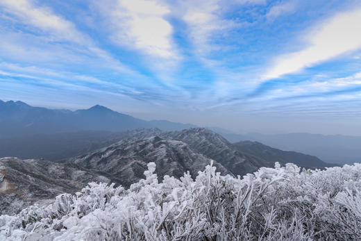 12.30出发【年终钜惠  独家线路】 皇后山茶庄园冰雪摄影+高山温泉2天 商品图1