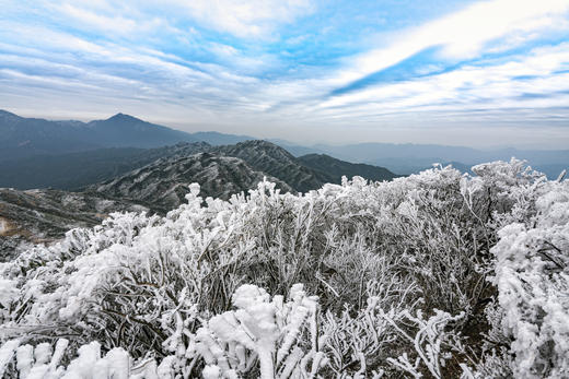 12.30出发【年终钜惠  独家线路】 皇后山茶庄园冰雪摄影+高山温泉2天 商品图4